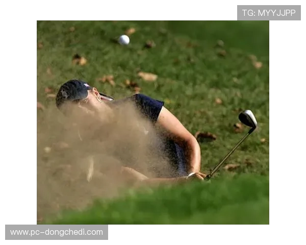 加西亚爬树救球名场面引热议,高尔夫赛场意外时刻展现球员临场应变 加西亚爬树救球名场面引热议,高尔夫赛场意外时刻展现球员临场应变